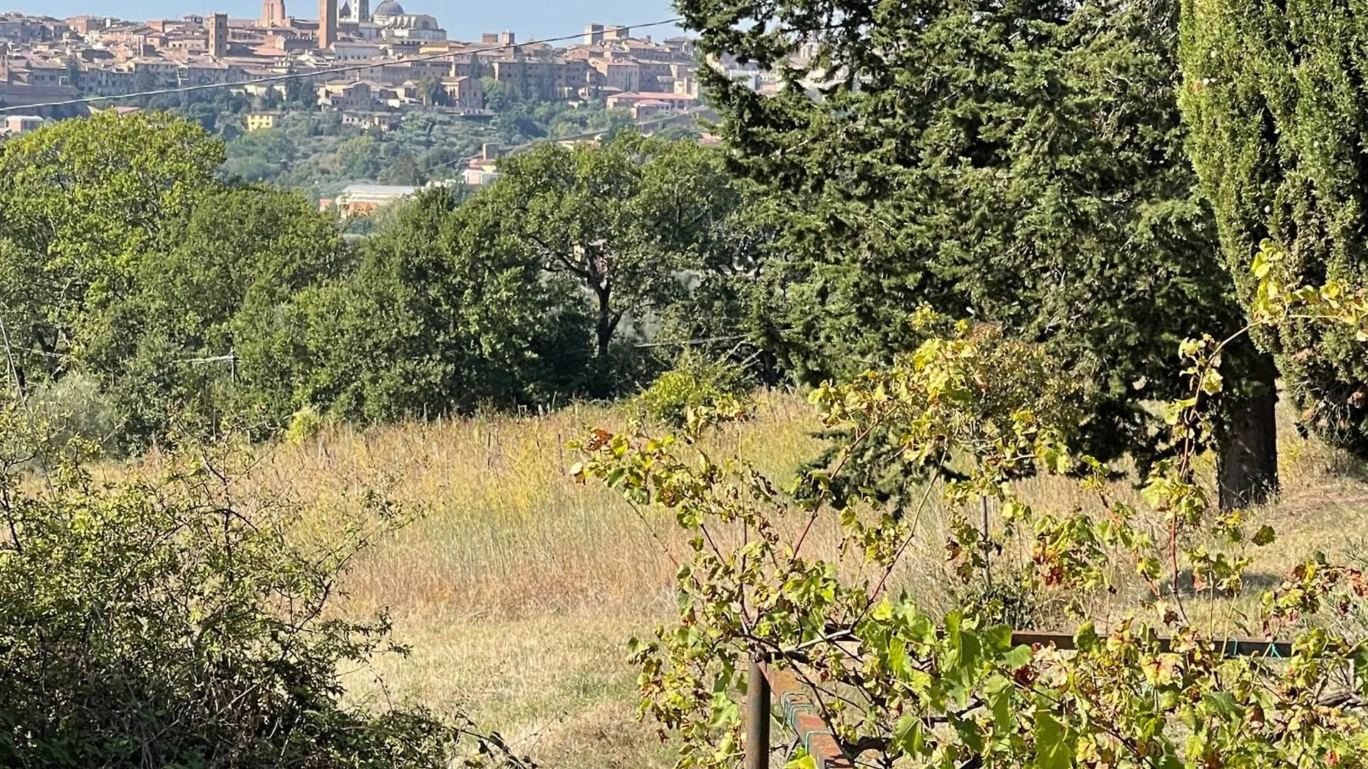 Villa Vignano: Vicino Siena Centro
